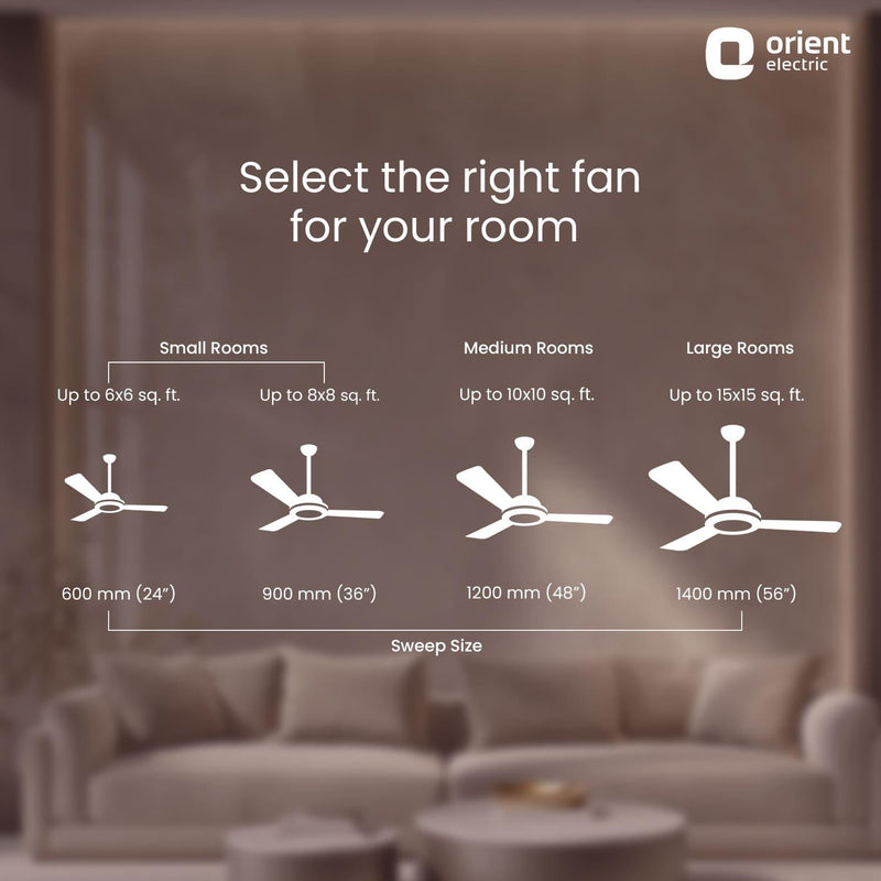 Quasar Ceiling Fan | 2-Year Warranty