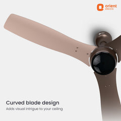 Aeon Antidust BLDC Ceiling Fan |  5-YEAR WARRANTY