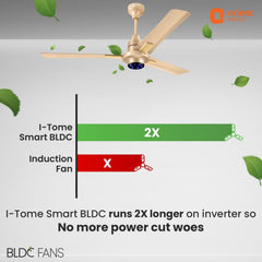 I Tome Smart BLDC Ceiling Fan | 3-Year Warranty