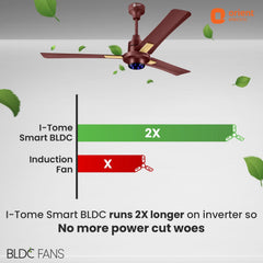 I Tome Smart BLDC Ceiling Fan | 3-Year Warranty