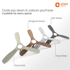 Aerosense Smart BLDC Ceiling Fan | 5 Year Warranty
