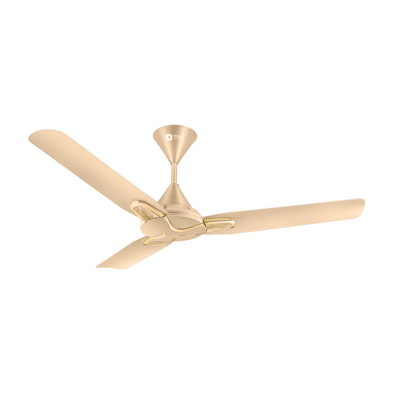 Jazz Art 1200 mm Decorative Ceiling Fan | 2-Year Warranty