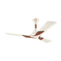 Wendy Stylish Ceiling Fan | 2-Year Warranty