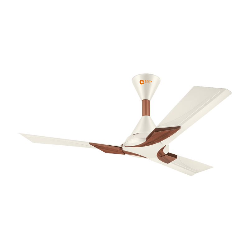 Wendy Stylish Ceiling Fan | 2-Year Warranty