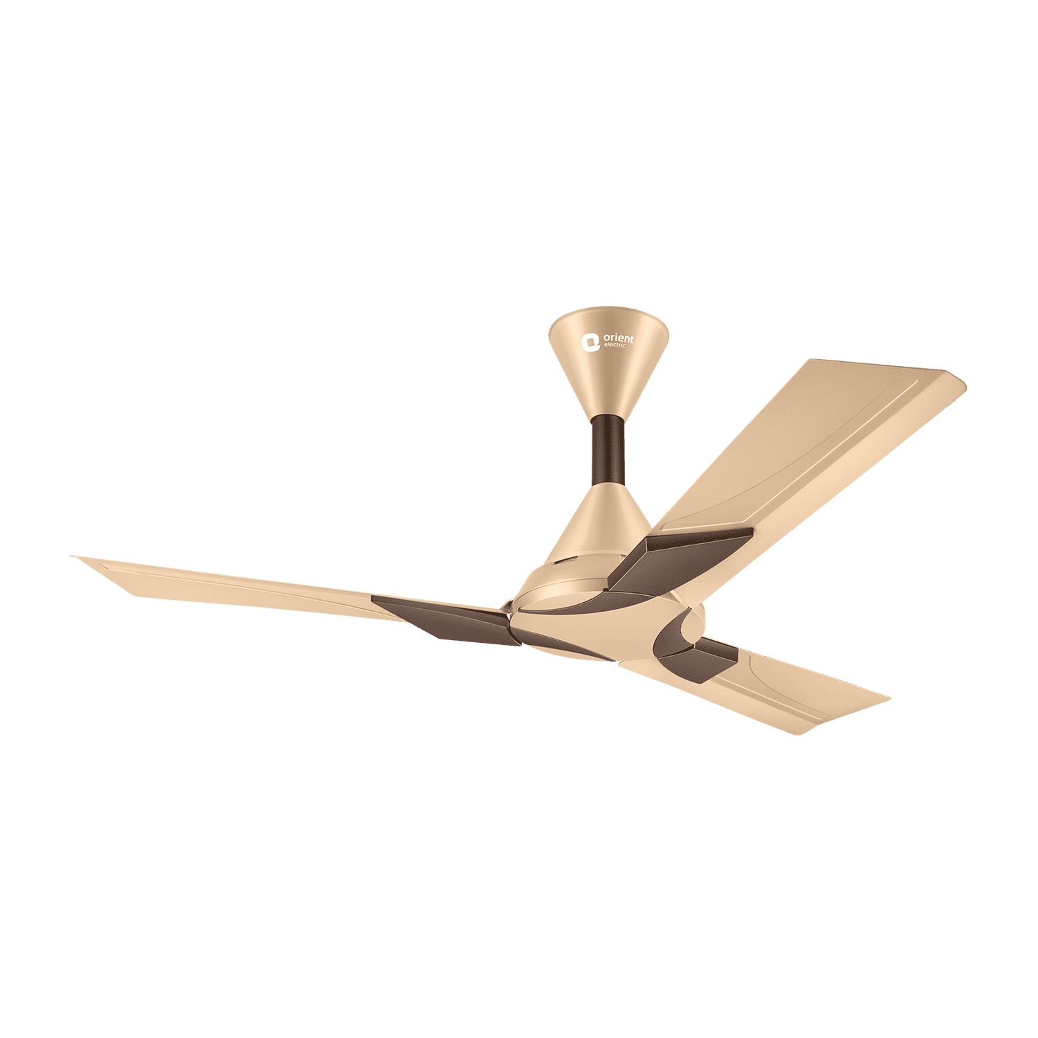 Wendy Stylish Ceiling Fan | 2-Year Warranty