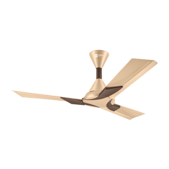 Wendy Stylish Ceiling Fan | 2-Year Warranty