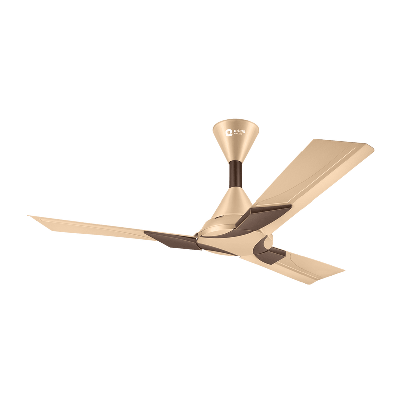 Wendy Stylish Ceiling Fan | 2-Year Warranty