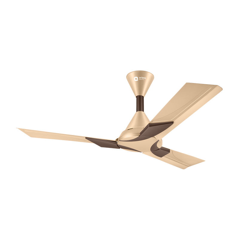 Wendy Stylish Ceiling Fan | 2-Year Warranty