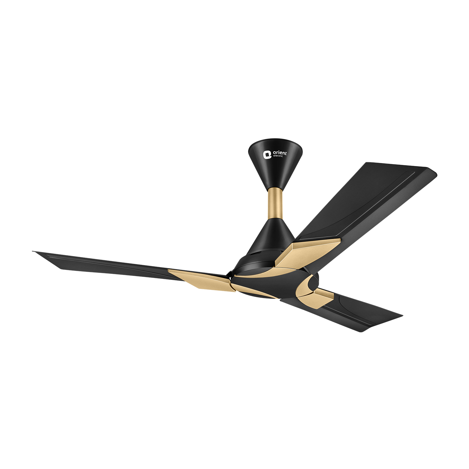 Wendy Stylish Ceiling Fan | 2-Year Warranty