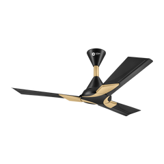 Wendy Stylish Ceiling Fan | 2-Year Warranty