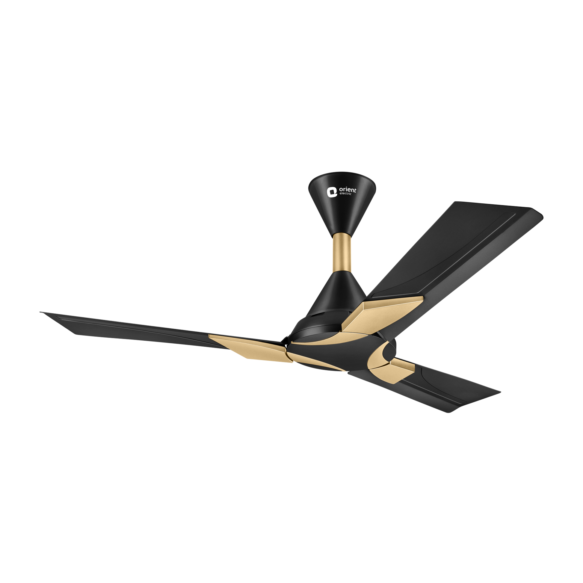 Wendy Stylish Ceiling Fan | 2-Year Warranty