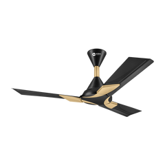 Wendy Stylish Ceiling Fan | 2-Year Warranty