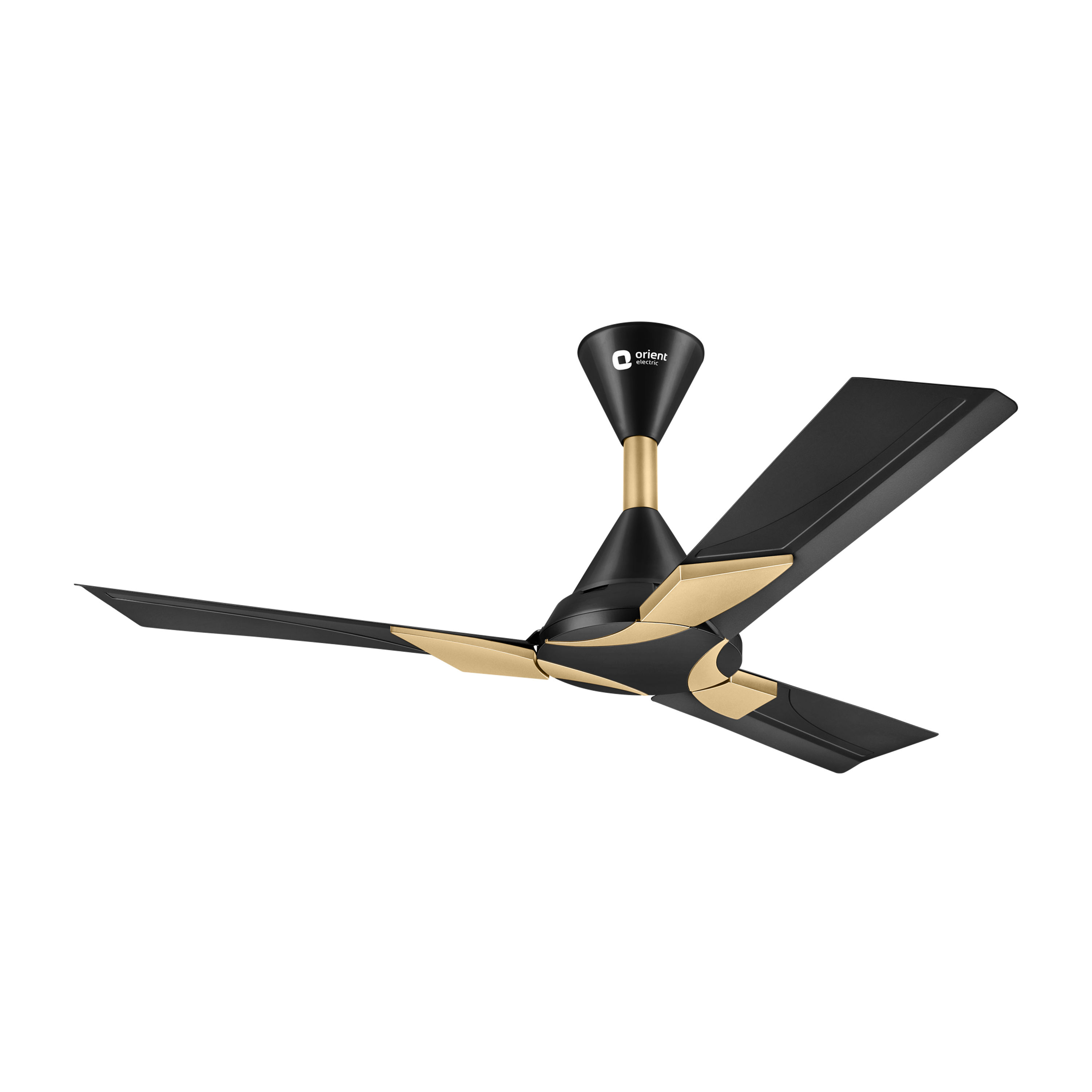 Wendy Stylish Ceiling Fan | 2-Year Warranty