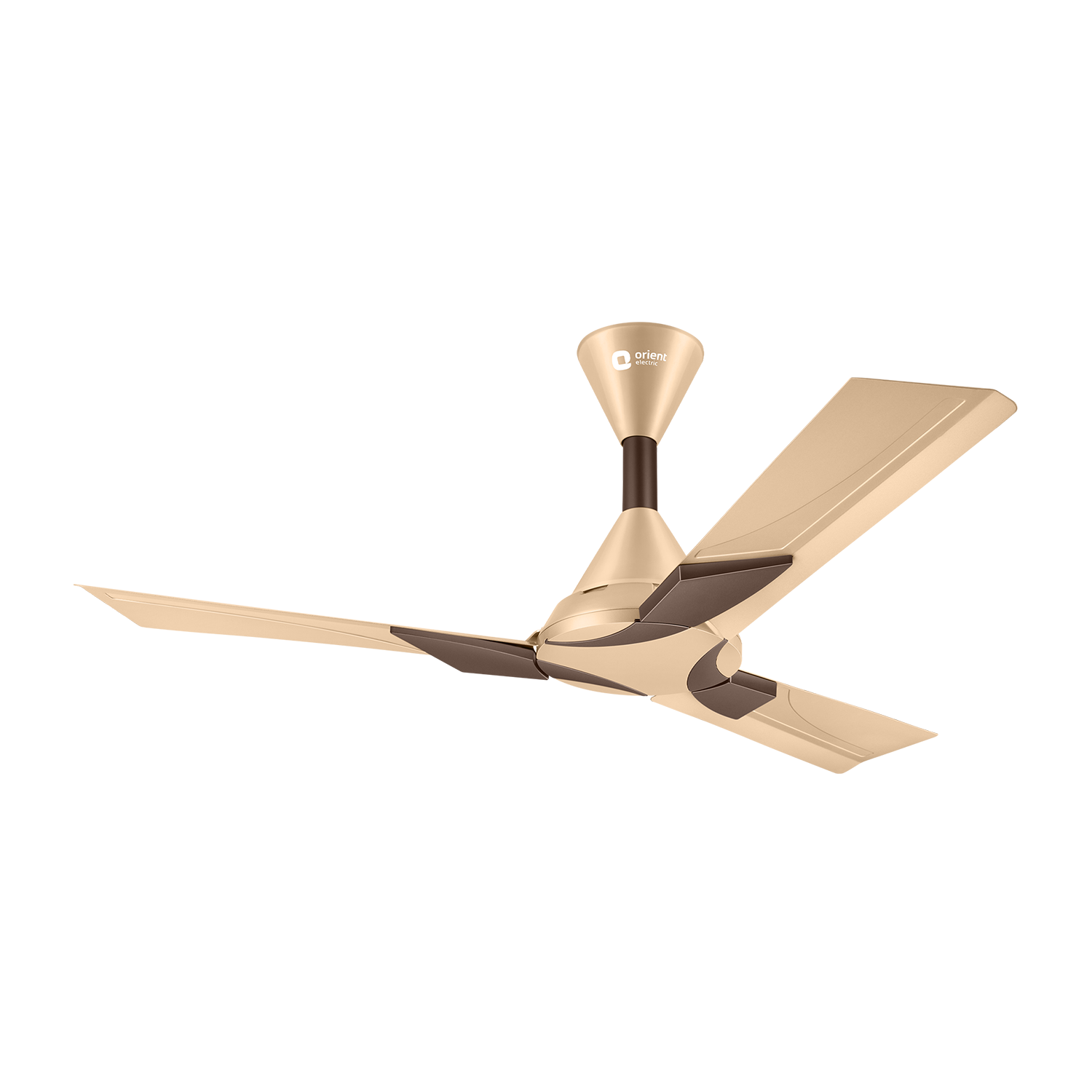 Wendy Stylish Ceiling Fan | 2-Year Warranty