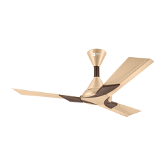 Wendy Stylish Ceiling Fan | 2-Year Warranty