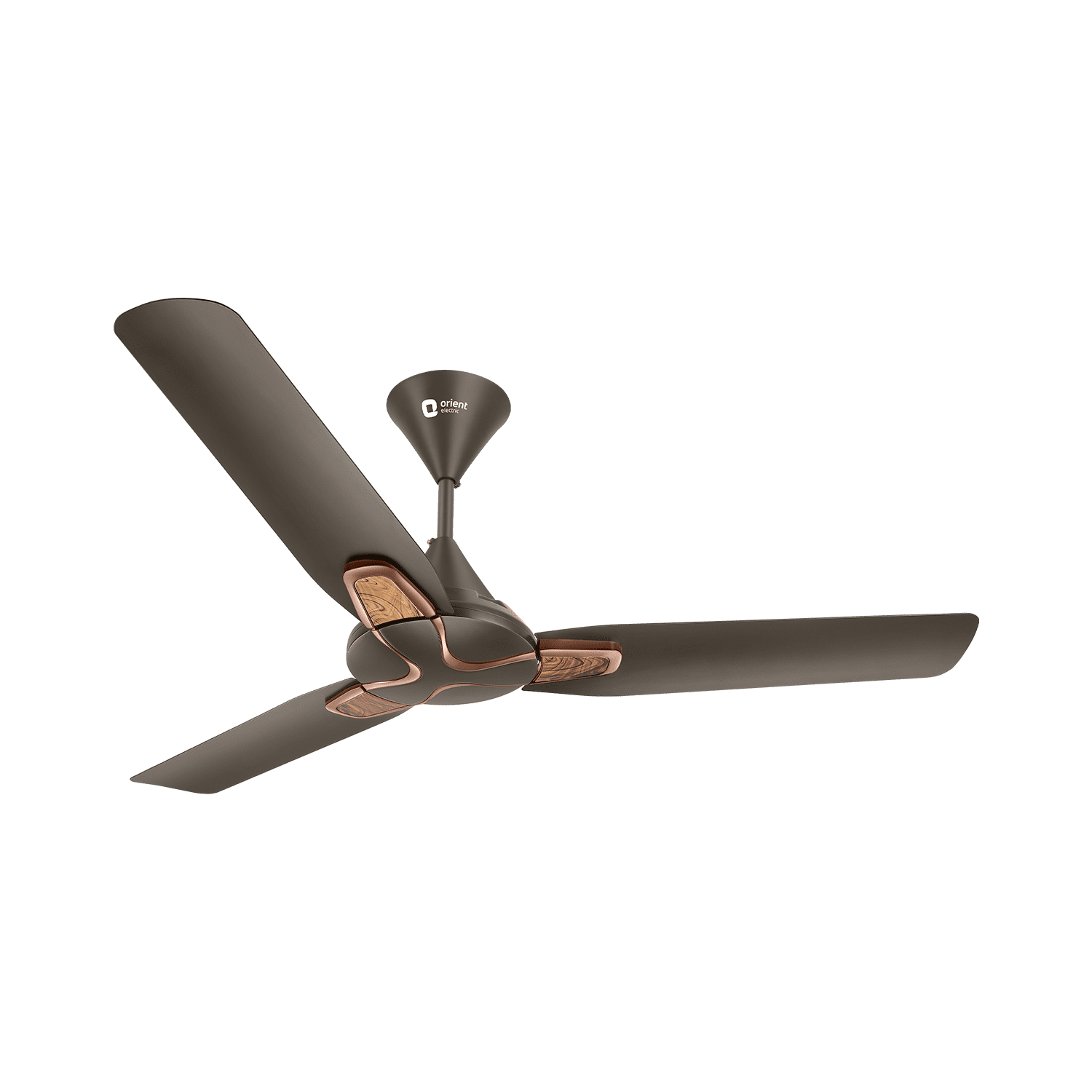 Jazz Trendz Decorative Ceiling Fan
