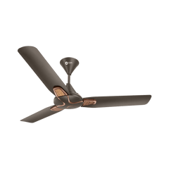 Jazz Trendz Decorative Ceiling Fan
