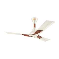 Wendy Stylish Ceiling Fan | 2-Year Warranty