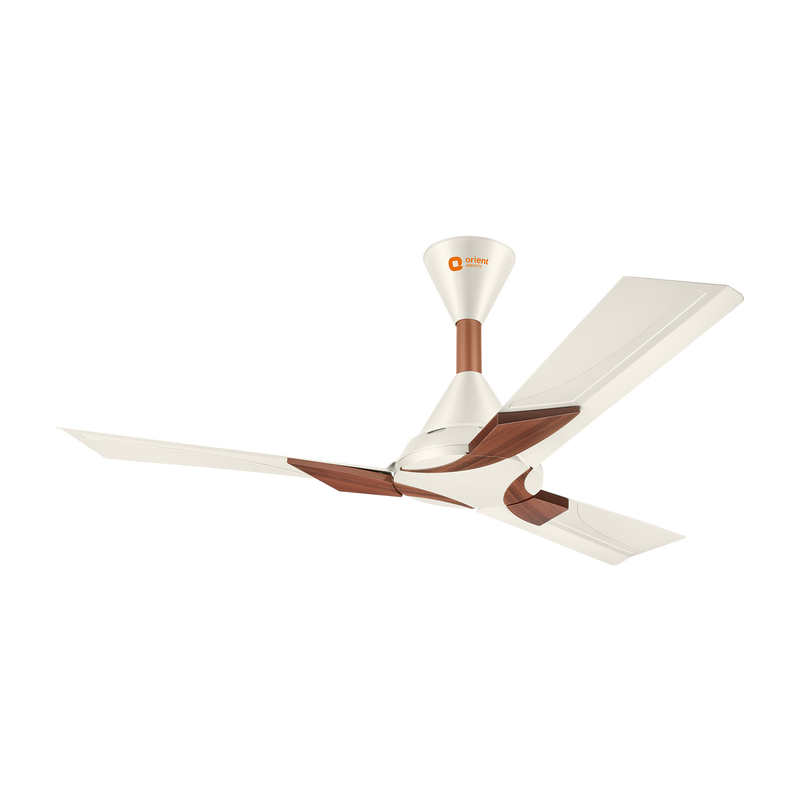 Wendy Stylish Ceiling Fan | 2-Year Warranty
