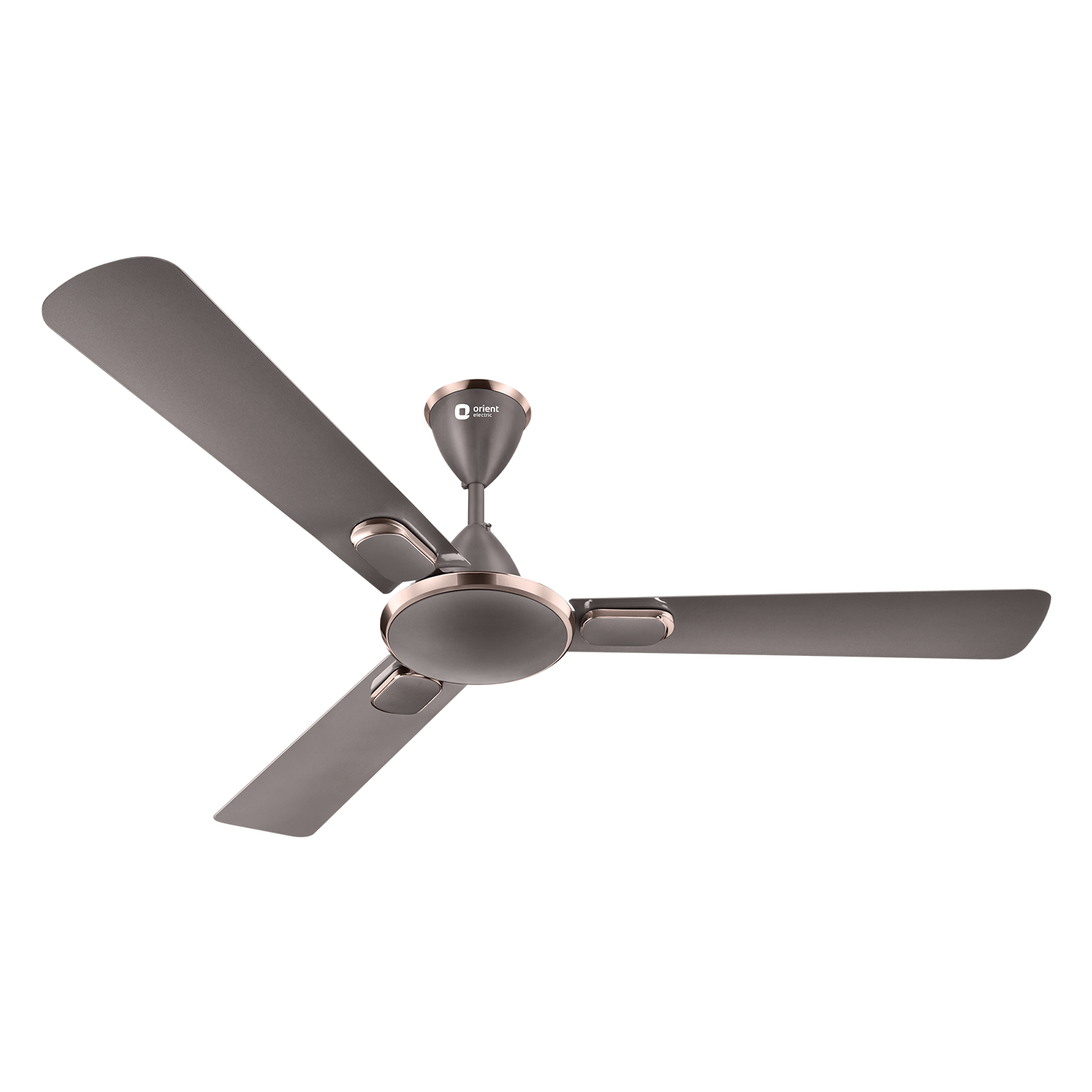Blanco Decorative Ceiling Fan | 2-Year Warranty