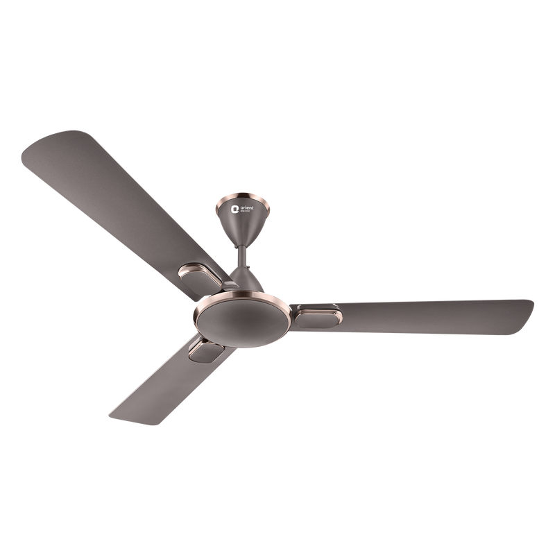 Blanco Decorative Ceiling Fan | 2-Year Warranty