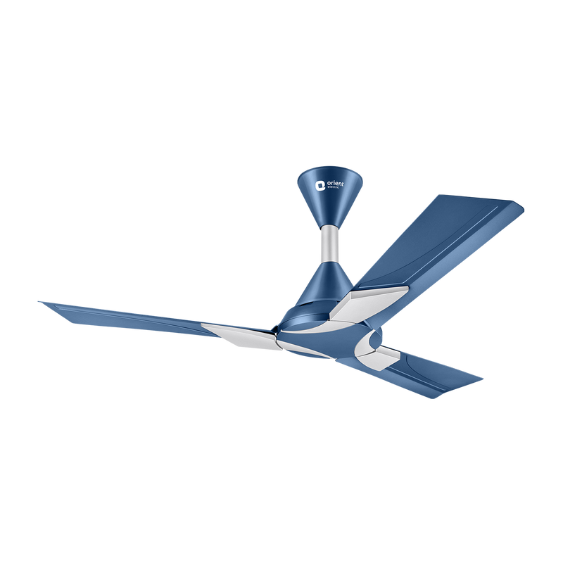 Wendy Stylish Ceiling Fan | 2-Year Warranty