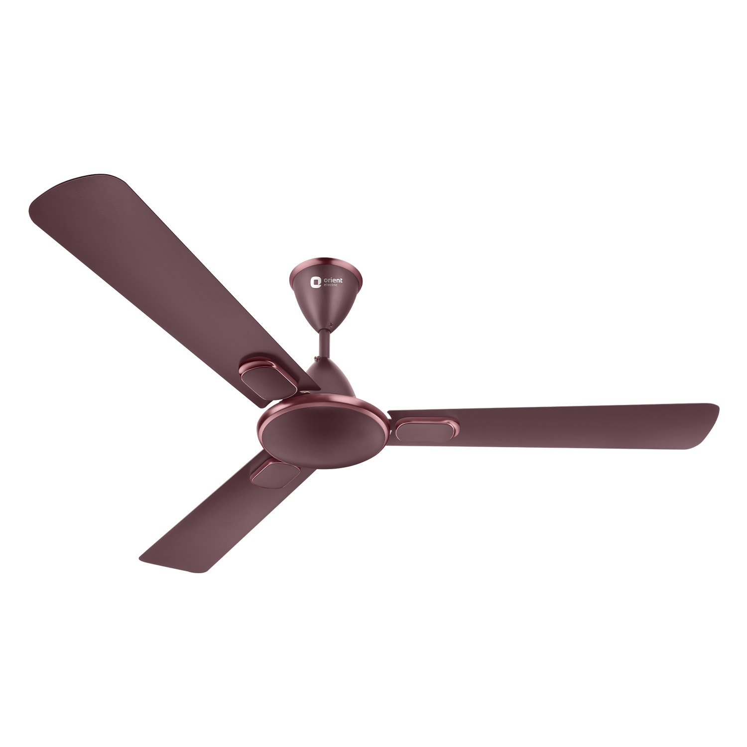 Blanco Decorative Ceiling Fan | 2-Year Warranty