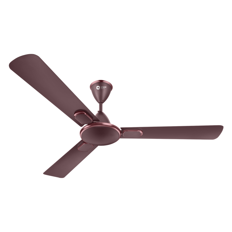 Blanco Decorative Ceiling Fan | 2-Year Warranty