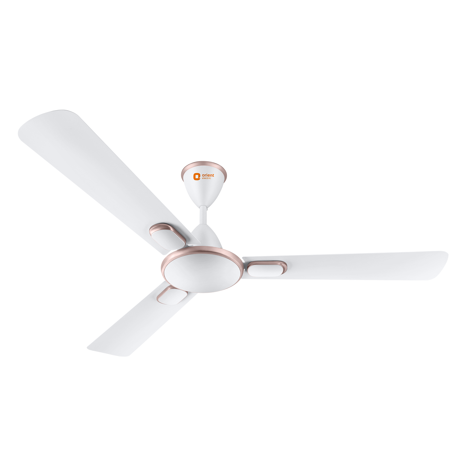 Blanco Decorative Ceiling Fan | 2-Year Warranty