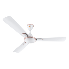 Blanco Decorative Ceiling Fan | 2-Year Warranty