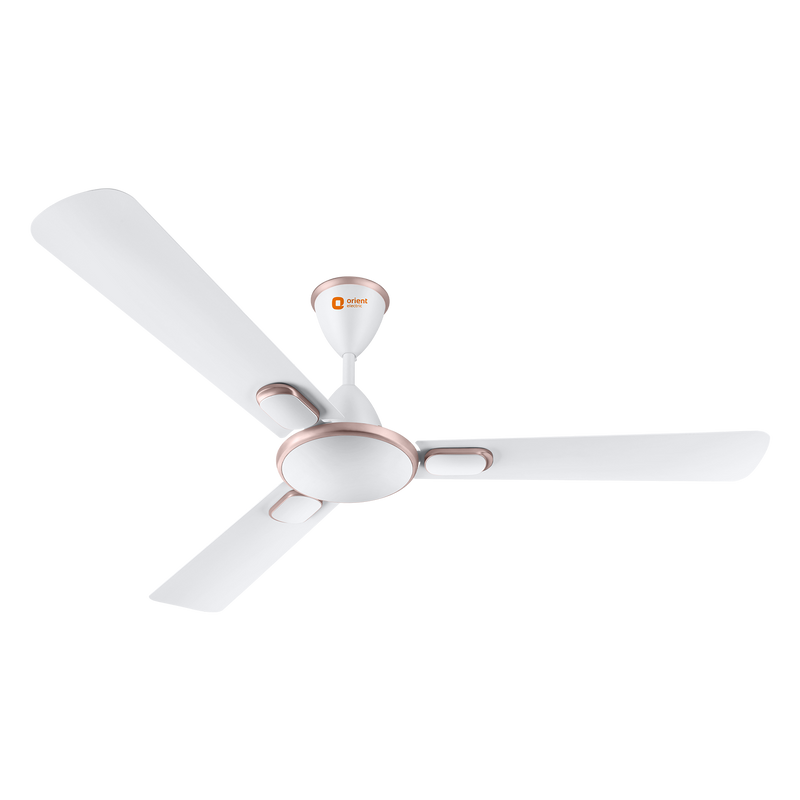 Blanco Decorative Ceiling Fan | 2-Year Warranty