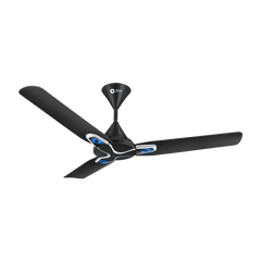 Jazz Art 1200 mm Decorative Ceiling Fan | 2-Year Warranty