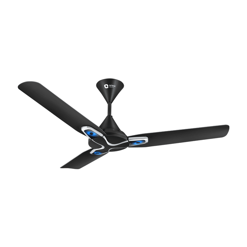 Jazz Art 1200 mm Decorative Ceiling Fan | 2-Year Warranty