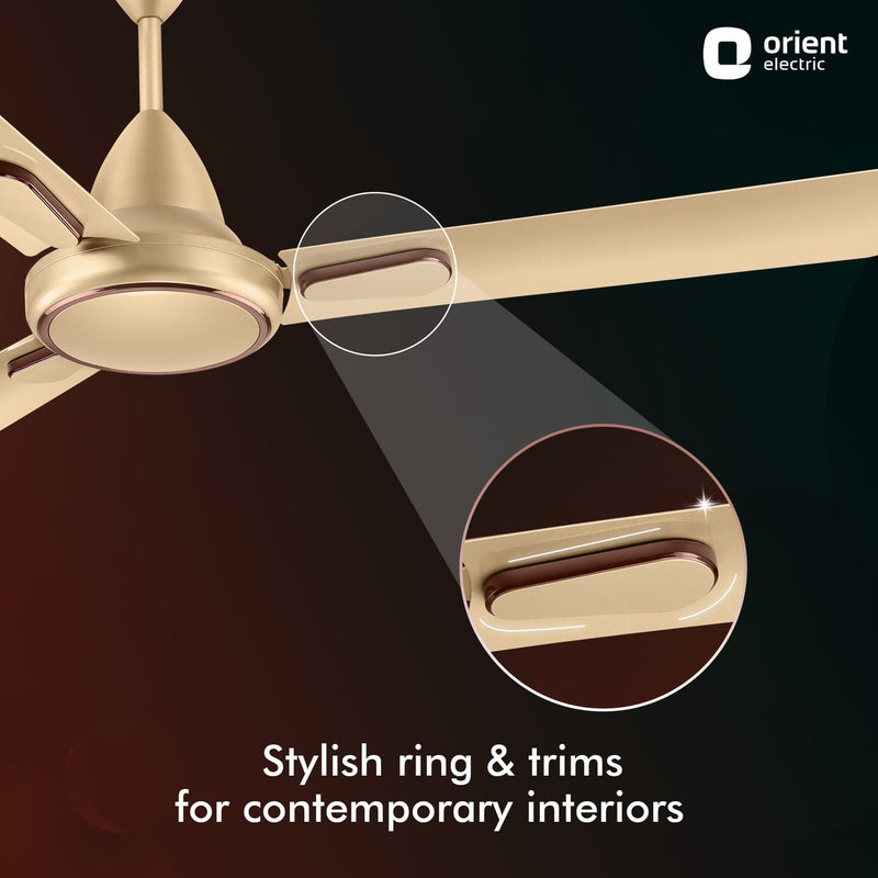 Hector Deco BLDC Ceiling Fan with Remote