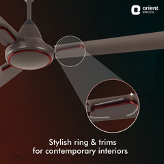 Hector Deco BLDC Ceiling Fan with Remote