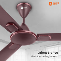 Blanco Decorative Ceiling Fan | 2-Year Warranty