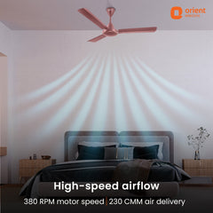 Falcon Speedstar High Speed Ceiling Fan | 5-Year Warranty