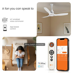 Aerosense Smart BLDC Ceiling Fan | 5 Year Warranty