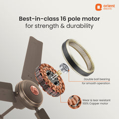 Summercool Ceiling Fan | 5-Year Warranty