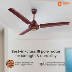 Summercool Ceiling Fan | 5-Year Warranty