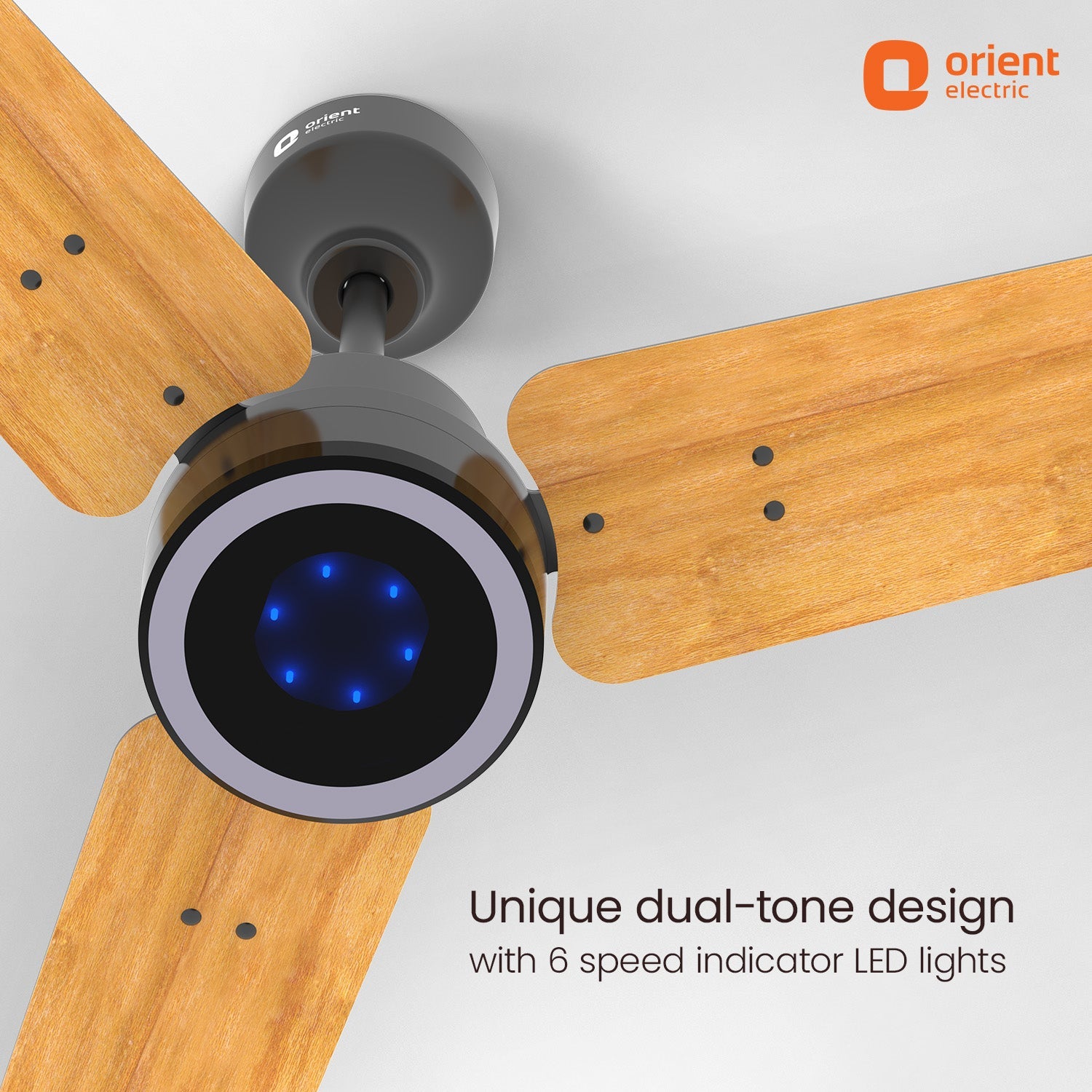 Ecotech Prime CX 5 Star BLDC Ceiling Fan with LED Indicator Light