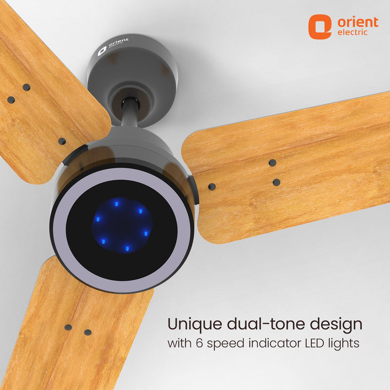 Ecotech Prime CX 5 Star BLDC Ceiling Fan with LED Indicator Light