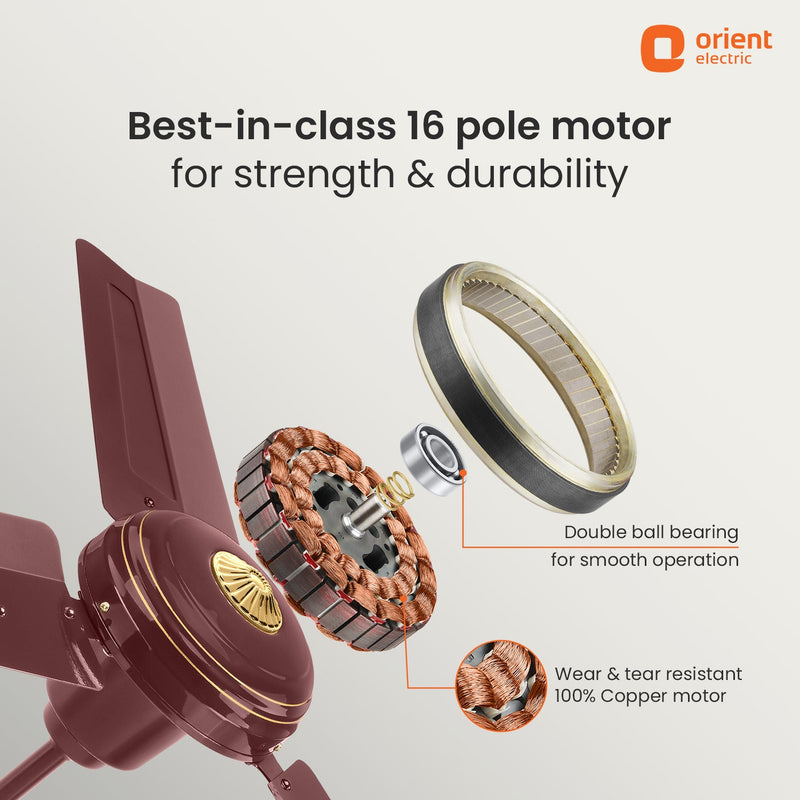Summercool Ceiling Fan | 5-Year Warranty