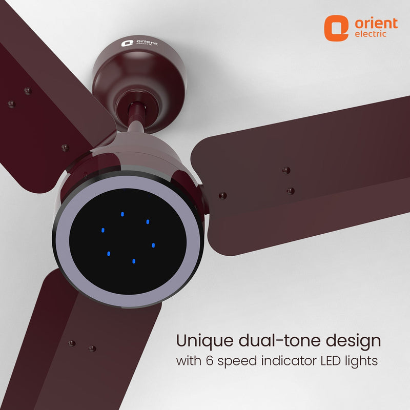 Ecotech Prime CX 5 Star BLDC Ceiling Fan with LED Indicator Light