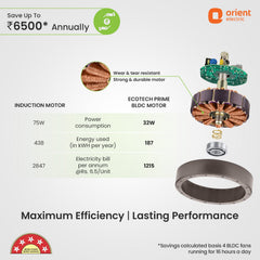 EcoTech Prime BLDC Ceiling Fan | 3-YEAR WARRANTY