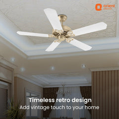 Subaris Royal Premium Ceiling Fan