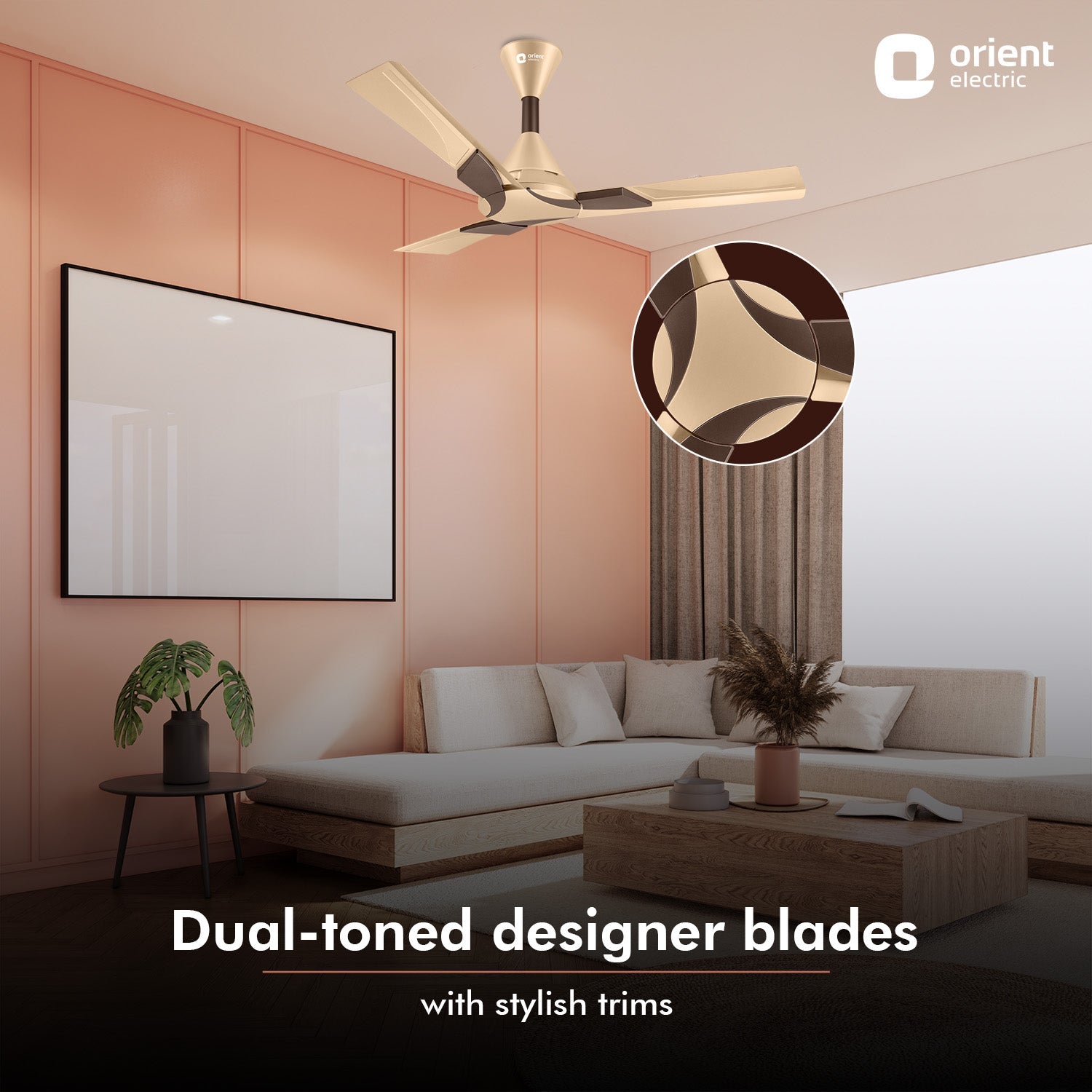 Wendy BLDC Remote Ceiling Fan | 3-Year Warranty