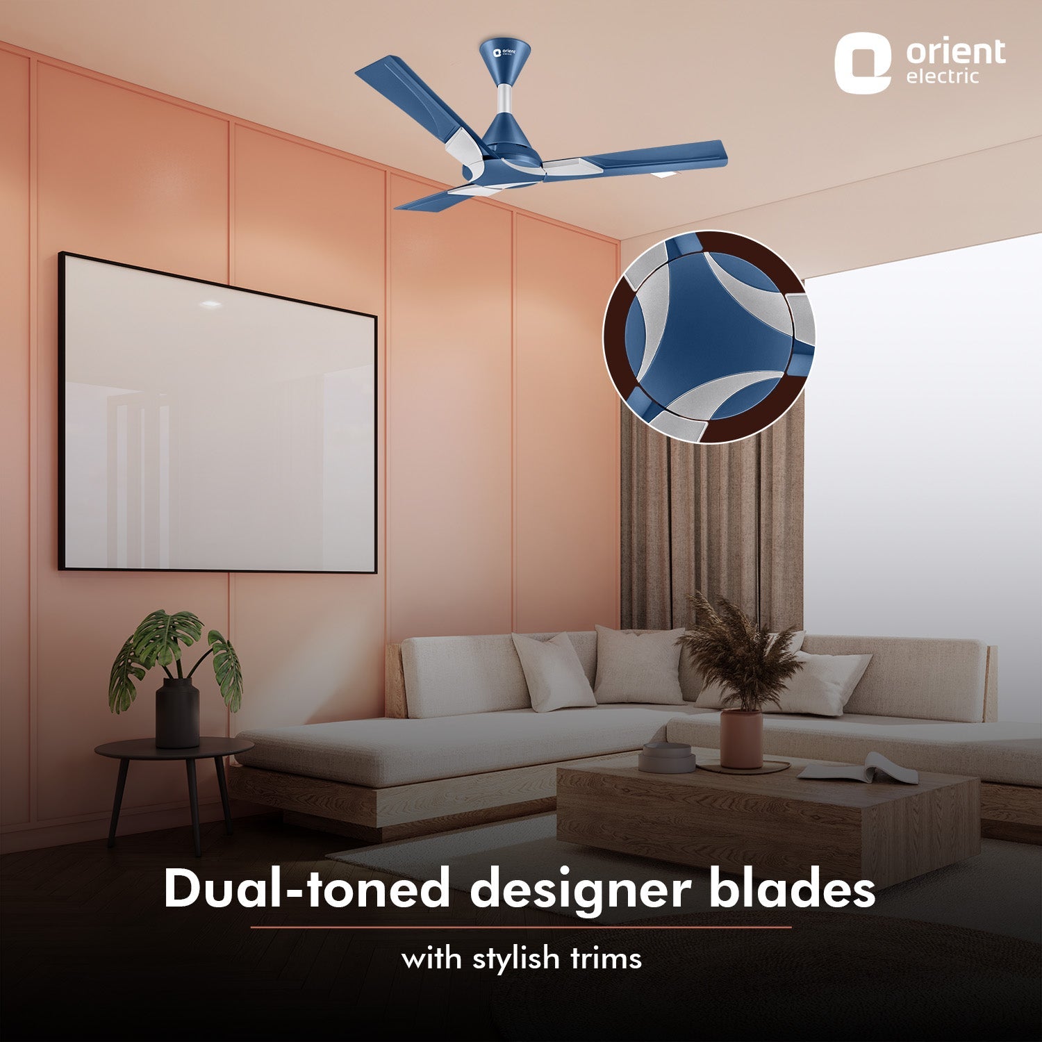 Wendy BLDC Remote Ceiling Fan | 3-Year Warranty
