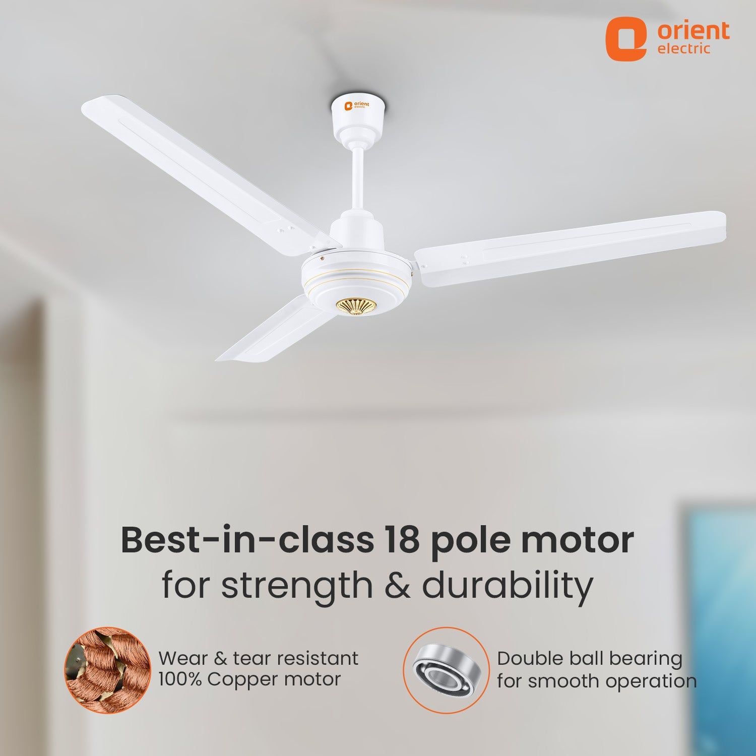 Summercool Ceiling Fan | 5-Year Warranty