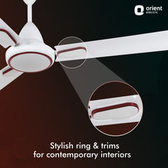 Hector Deco BLDC Ceiling Fan with Remote